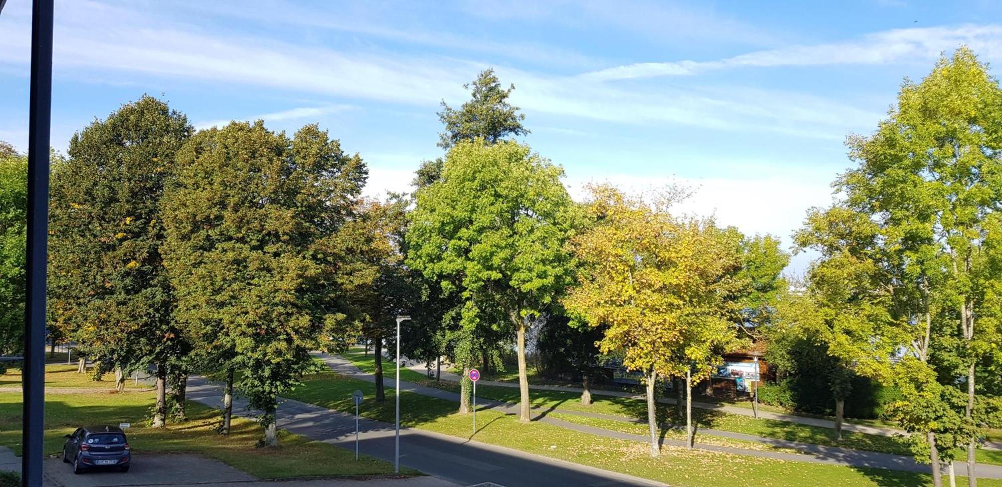 Stadtdomizil Am Binnensee, Haus Bellevue ไฮลิเกนฮาเฟิน ภายนอก รูปภาพ